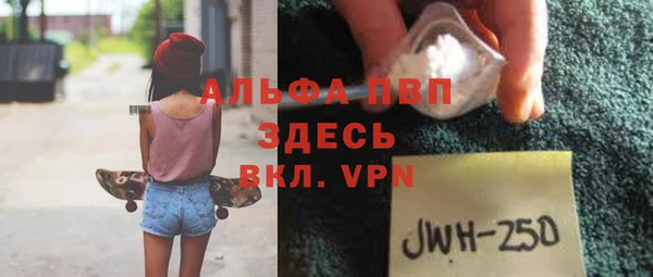 эйфоретик Бородино