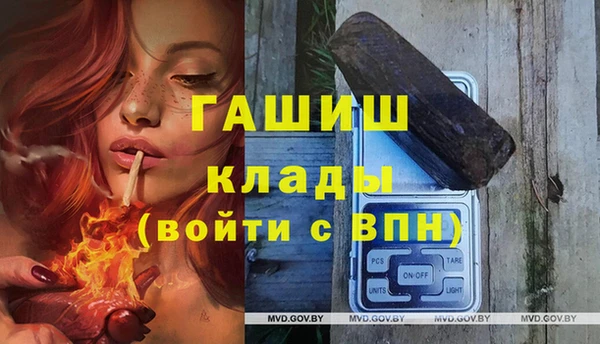 эйфоретик Бородино