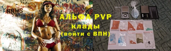 эйфоретик Бородино