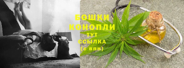 дмт Бронницы