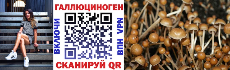 Галлюциногенные грибы MAGIC MUSHROOMS  Рузаевка 